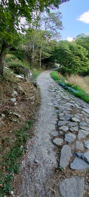 苗木城