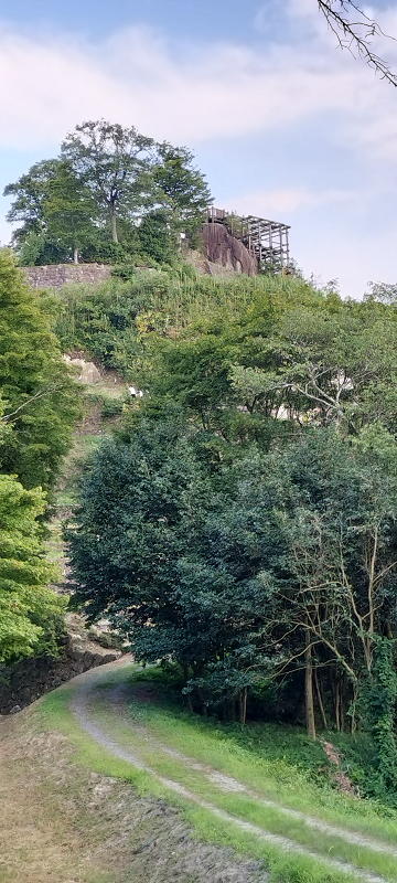 苗木城